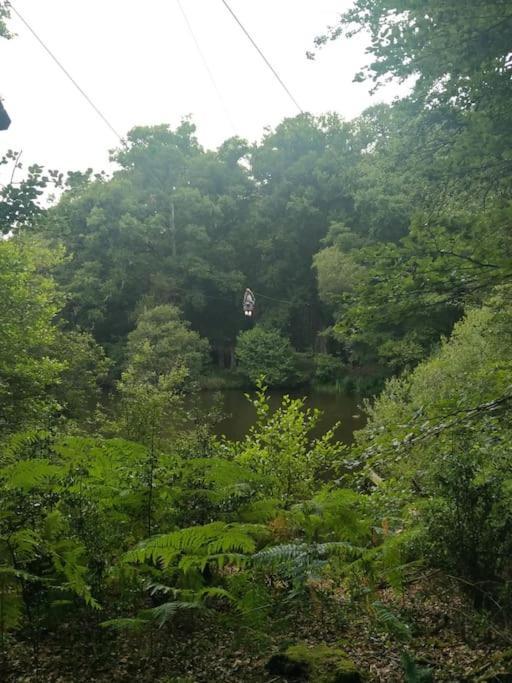 Le Mimosa, Maison De Vacances Trans Dış mekan fotoğraf